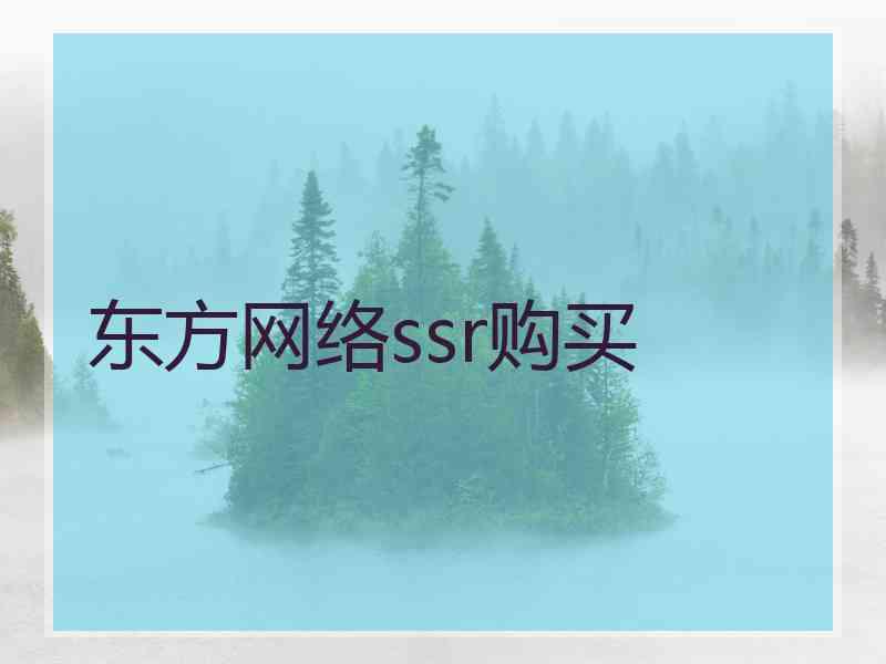 东方网络ssr购买