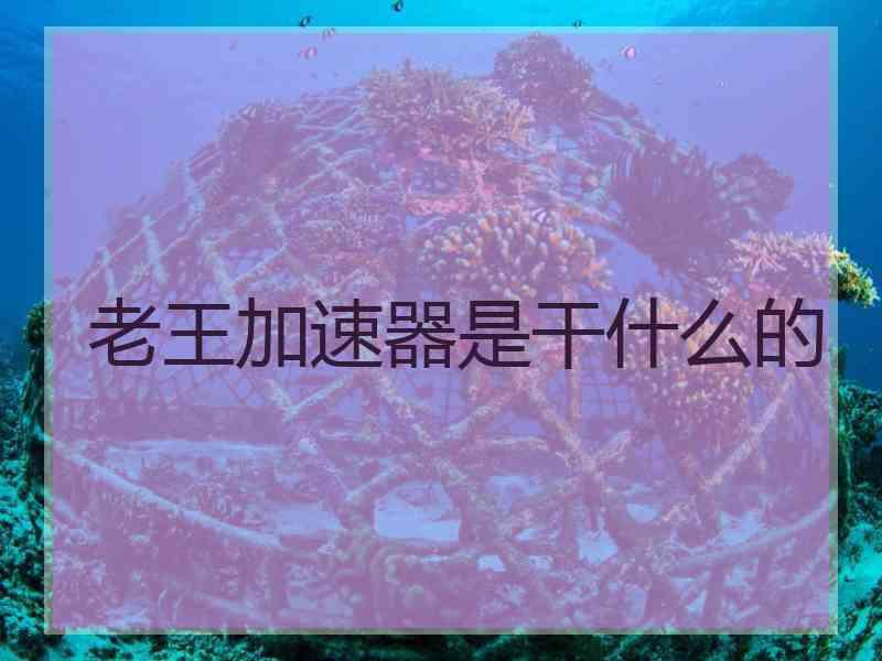 老王加速器是干什么的